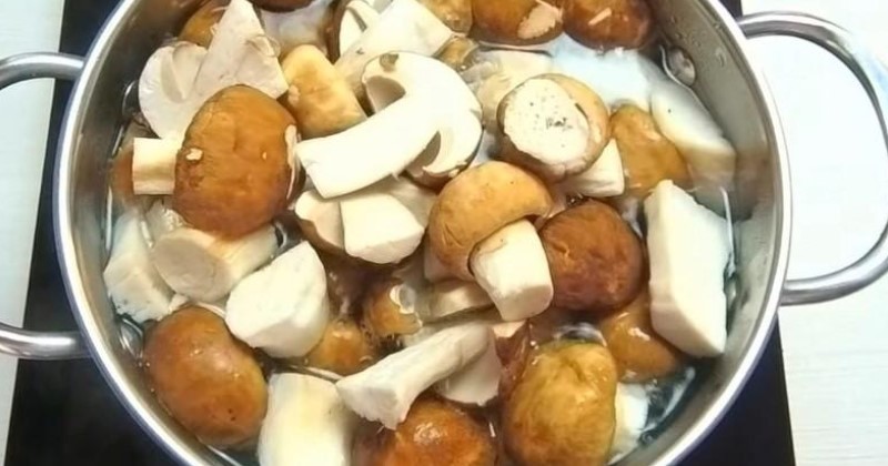 Маринад підкреслює смак! Як заготувати білі гриби на зиму в банках
