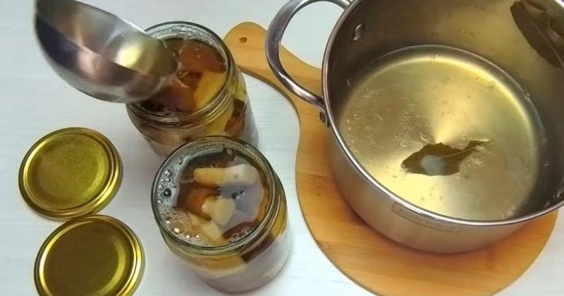 Маринад підкреслює смак! Як заготувати білі гриби на зиму в банках