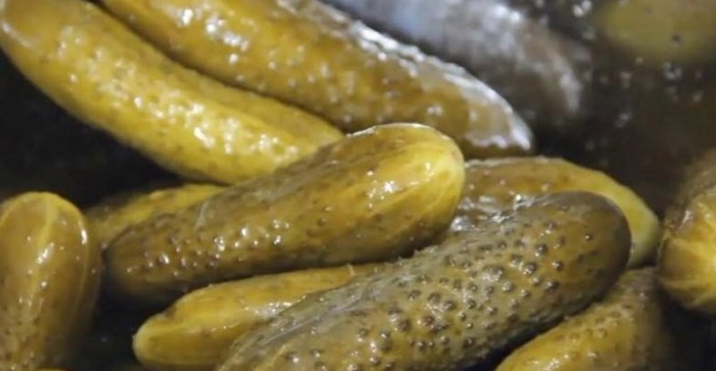 Бродячі огірки: найкращий рецепт соління на зиму