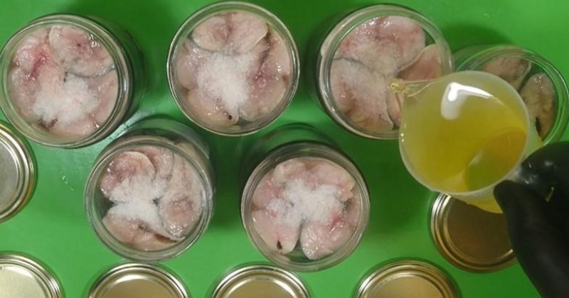 Консервована скумбрія в олії своїми руками