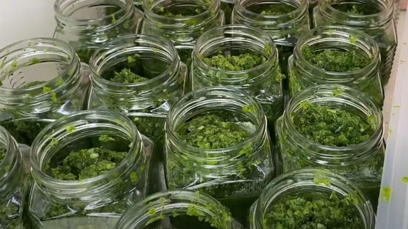 Зелена аджика без варіння на зиму. Дивно смачна страва
