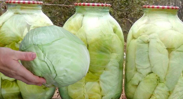 Мариновані листя на голубці. Відкрили банку, і можна починати крутити
