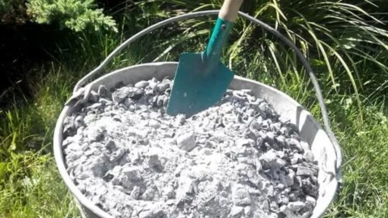 Чому зола підходить не всім рослинам